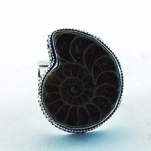 Beautiful Handcrafted Ammonite .925 Sterling Silver Ring Sz-9.5 R-57L5
