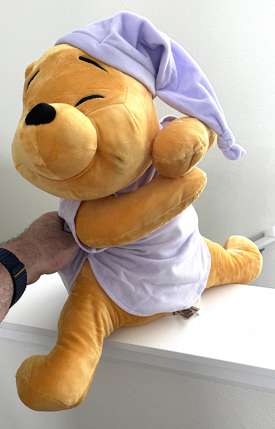 winnie the pooh sleeping plush