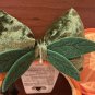 Walt Disney World Orange Slice Citrus Minnie Mouse Ears Headband NEW