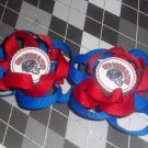 Houston Texans Pair Hair Flowers