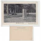 Hampshire   Postcard Rufus Stone, New Forest Howards 311 Mauritron Item No. 84