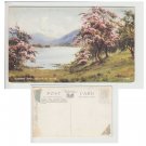 Cumbria Postcard Blossom Time, Esthwaite Water. Mauritron # 104
