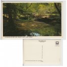 Hampshire   Postcard Highland Water Roman Arch New Forest. Mauritron #162