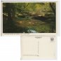 Hampshire   Postcard Highland Water Roman Arch New Forest. Mauritron #162