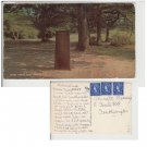 Hampshire   Postcard Rufus Stone New Forest. Mauritron #170