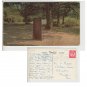 Hampshire   Postcard Rufus Stone New Forest 2250c. Mauritron #232