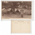 Hampshire   Postcard Rufus Stone 20634 New Forest. Mauritron #231