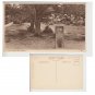 Hampshire   Postcard Rufus Stone 20634 New Forest. Mauritron #231