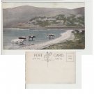 Cumbria Postcard Head of Ennerdale. Mauritron #261