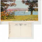 Cumbria Postcard Windermere from Bowness Promenade. Mauritron #268