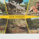 New Forest Multi View Postcard. Mauritron PC495-213890
