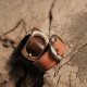 Ring, Engraved Ring, Couple Ring