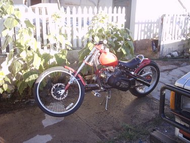 Monocruizer mini chopper