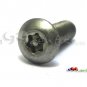 Secuirty Screw