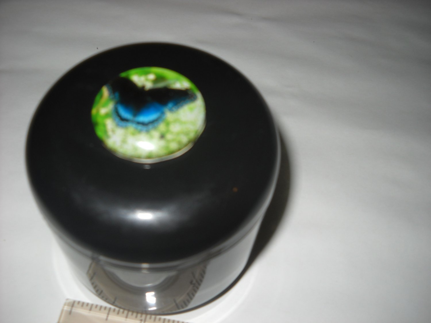 Black Fancy Partial Denture Case Jar Screw off Butterfly Top