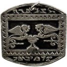 Protect from Accidents amulet