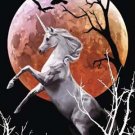 Unicorn journal