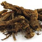 Golden Seal Root cut 1/2oz (Hydrastis canadensis)