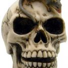 Skull with Rat bank
