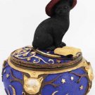 Magical Cat Box
