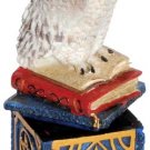 Snow Owl Magical Box