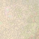 Stole Flower Pattern 22"x 72" (assorted colors)