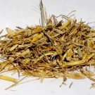 Witches Grass cut 1oz (Agropyron repens)