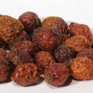 Rose Hips whole 1oz (Rosa canina)