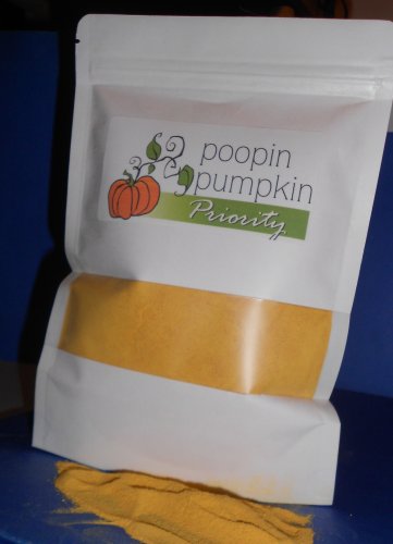 POOPIN PUMPKIN PRIORITY - 16oz $50