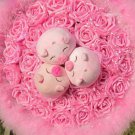 New Romantic Pig Bouquet for Wedding,Valentine, Birthday Gift- Pink