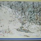 Winter In The Woods - 12 Greeting Cards