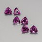 Certified Natural Rhodolite AAA Quality 5 mm Faceted Trillion 2 pcs pair
