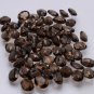 Natural Smoky Quartz 12x10mm Faceted Cut Oval 5 Pieces  Brown Color - Natural Loose Gemstone
