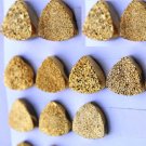 8mm Natural Gold Color Coating Flat Druzy Trillion 10 Pieces Gold Color Gemstone