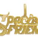 "SPECIAL FRIEND" Pendant In Gold Or Rhodium  w-56