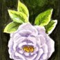 ACEO Lavender Rose by Patricia Ann Rizzo