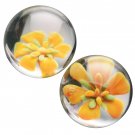 Asvani Glass Ben Wa Balls