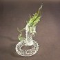 Hand Blown Glass Green Serpent (Snake) Art Glass Figurines Animals Thai Gifts