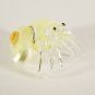 Hand Blown Clear Glass Shell Type 4 Art Glass Animal Figurines Thai Gifts