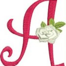 Curlz and Roses Monogram Machine Embroidery Designs