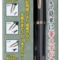 Pen: Sailor Fountain Pen Profit, Broad Nib
