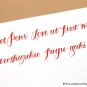 Pilot Iroshizuku Fountain Pen Ink Orange - 50 ml Bottle - Fuyu-gaki - INK-50-FG