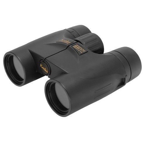 Kenko Opera Glasses 010990 10x32 DH Ms (Black)