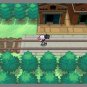 Nintendo DS - Pokemon White