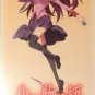 NISHIO ISHIN - BAKEMONOGATARI Premium ITEM BOX