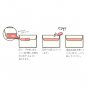 Sun-Star Zipper Tape Apple Print