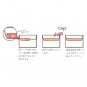 Sun-Star Zipper Tape Animals Print