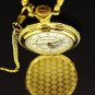 Pandora Hearts (Pandora Hearts) cosplay Oz wind pocket watch (japan import)