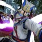 Sengoku Musou 4 [Japan Import]