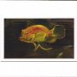Goldie the Fish
